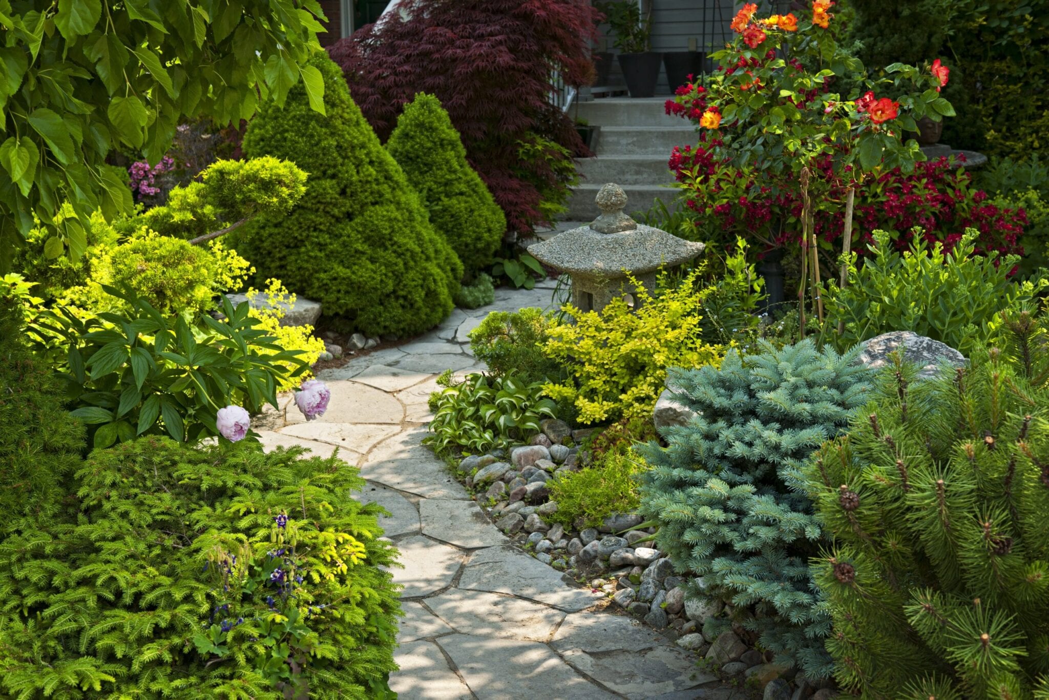 11930059 - natural flagstone path landscaping in home garden