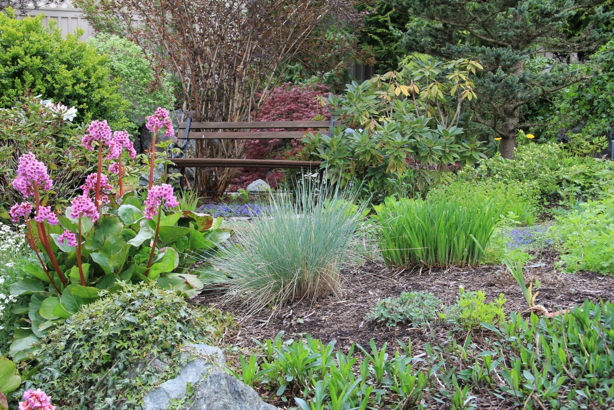 13510364 - spring flower garden and bench