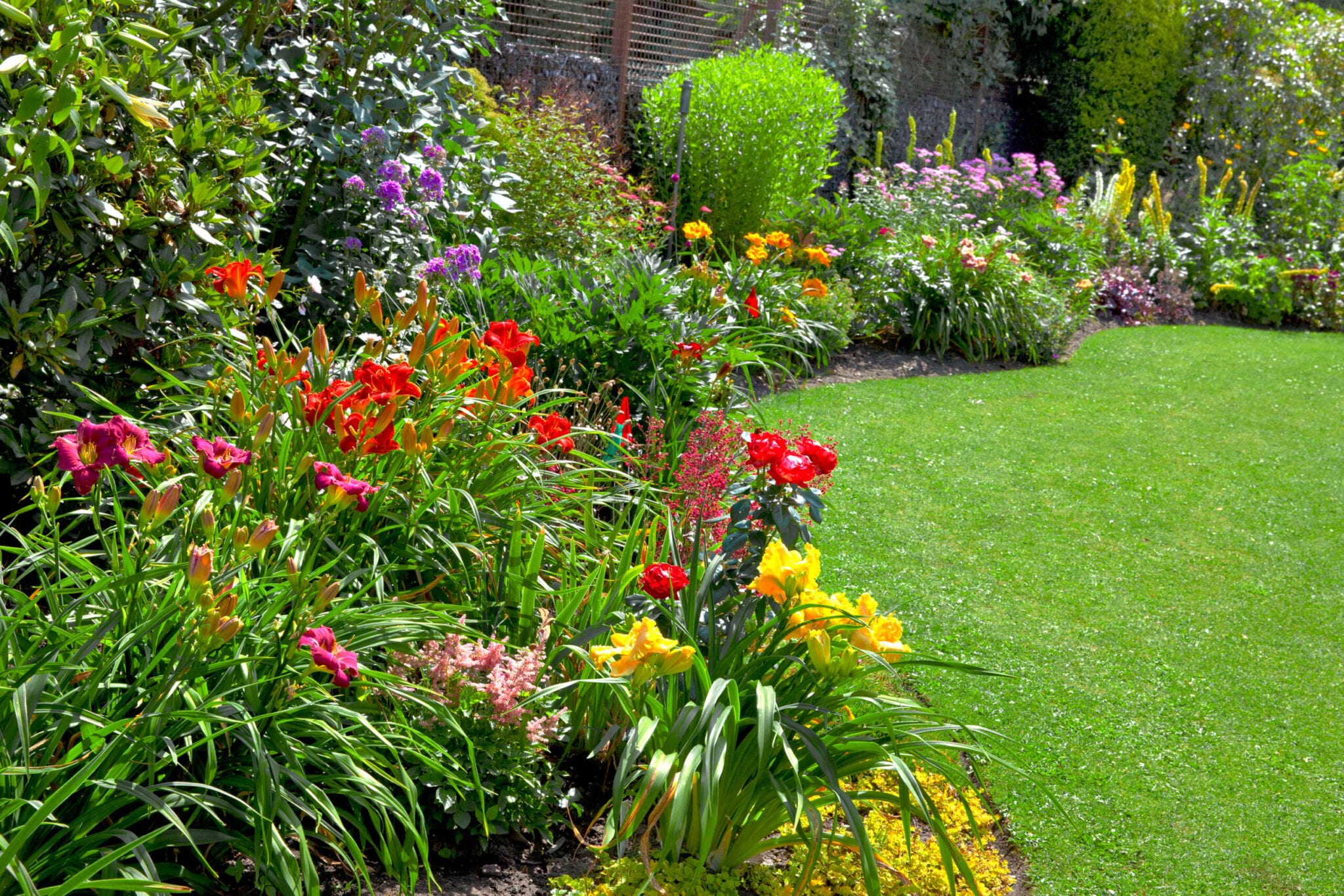 Green lawn in a colorful landscape formal garden.